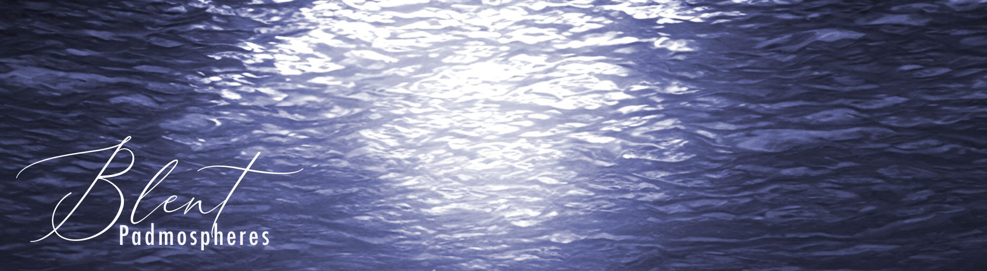 blent5-banner